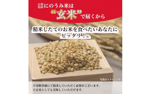 【令和7年産先行予約】米 コシヒカリ 玄米 10kg〈アグリにのうみ〉京都・亀岡産《令和7年産》 京都丹波産◇ ※北海道・沖縄・離島への配送不可 ※2025年10月中旬頃から順次発送予定
