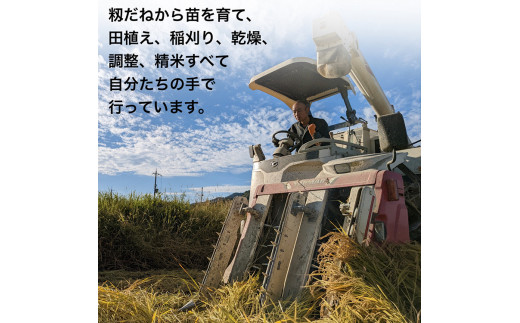 【令和7年産先行予約】米 コシヒカリ 玄米 10kg〈アグリにのうみ〉京都・亀岡産《令和7年産》 京都丹波産◇ ※北海道・沖縄・離島への配送不可 ※2025年10月中旬頃から順次発送予定