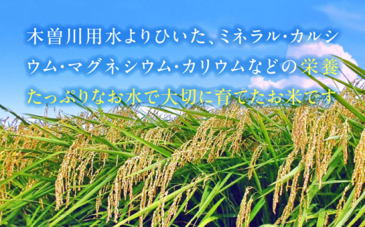 【9月発送】あいちのかおり　玄米　20kg　米　お米　ご飯　愛西市/脇野コンバイン [AECP012-12]