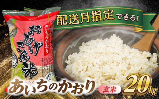 【9月発送】あいちのかおり　玄米　20kg　米　お米　ご飯　愛西市/脇野コンバイン [AECP012-12]