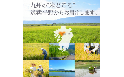 福岡県産 元気つくし・夢つくしの食べ比べセット 5kg×各1袋 [玄米](水巻町)【1445294】