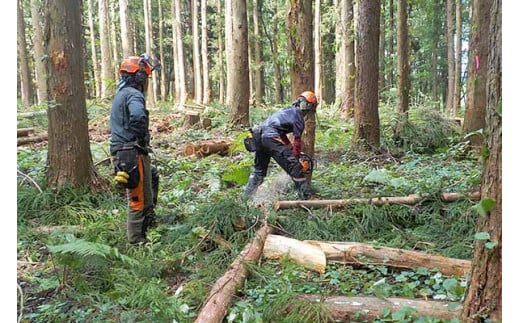 山を守り育て、後世に伝えながら、地域貢献を実現できるよう、役職員・現場一同、頑張っています。