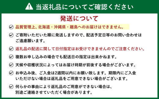 あまおう贅沢セット