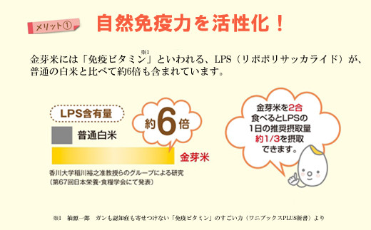 BG無洗米・金芽米にこまる 2kg 計量カップ付き【新米 令和6年産　お試し 時短 健康  少量 】