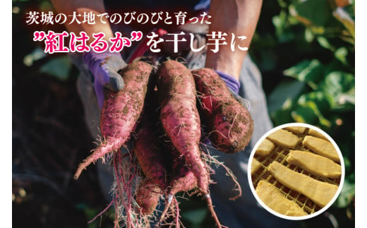 【12月より順次発送】【訳あり】 干し芋 せっこう（切り落とし）紅はるか2kg（1箱）【干し芋 干しいも ほし芋 芋 さつまいも さつま芋 紅はるか茨城県 水戸市 水戸 20000円以内 2万円以内】（IN-10)