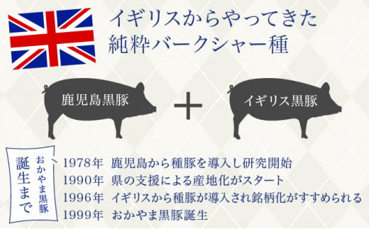 おかやま黒豚 しゃぶしゃぶ用 ローススライス 1kg以上（350g×3パック）