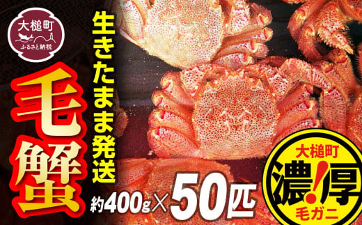 【令和7年発送先行予約】三陸産 ! 活毛ガニセット 400g×50杯【2025年2月～4月発送】