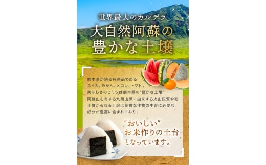 令和6年産   【定期便12回】 熊本県産 森のくまさん 白米 15kg | 小分け 5kg × 3袋  熊本県産 こめ 米 白米 ごはん 銘柄米 ブランド米 単一米 人気 日本遺産 菊池川流域 こめ作り ごはん ふるさと納税 返礼品