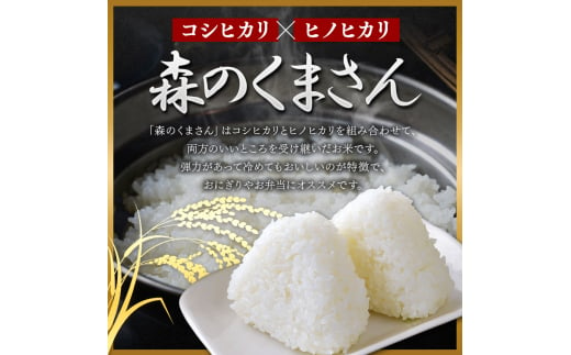 令和6年産   【定期便12回】 熊本県産 森のくまさん 白米 15kg | 小分け 5kg × 3袋  熊本県産 こめ 米 白米 ごはん 銘柄米 ブランド米 単一米 人気 日本遺産 菊池川流域 こめ作り ごはん ふるさと納税 返礼品