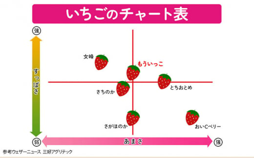 【亘理町産いちご】もういっこ 255g×8パック