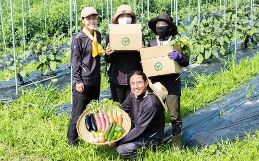 【12ヶ月定期便】新鮮！採れたて！HAN 季節のお野菜 詰め合わせ セット