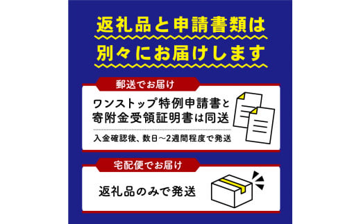 新米 【令和6年9月中旬より順次発送】 きぬひかり 白米 10kg （ 5kg × 2袋） 2024年産 竜の舞 化学肥料不使用 特別栽培米 国産 安心 安全 近江米 米 お米 白米 お弁当 玄米 産地直送 滋賀県 竜王町 送料無料