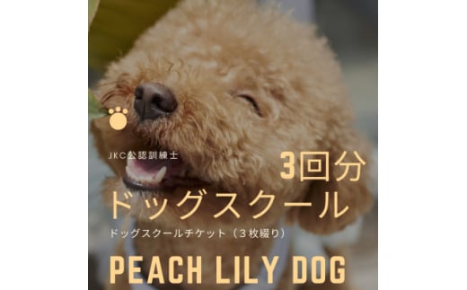 Peach Lily Dogのドッグスクールチケット　(3枚綴り)【ドッグスクール 犬 愛犬 レッスン トレーニング 警察犬 災害救助犬 レッスン受講 ワンちゃん ペット】