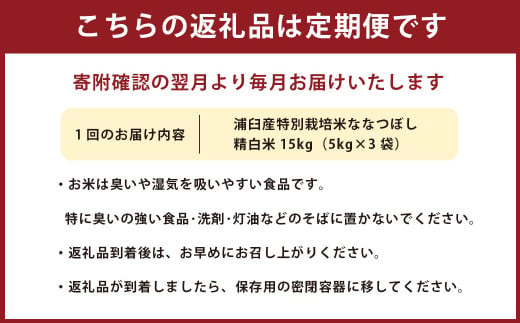 【8回定期便】浦臼産 特別栽培米 ななつぼし 精白米 15kg（5kg×3袋）