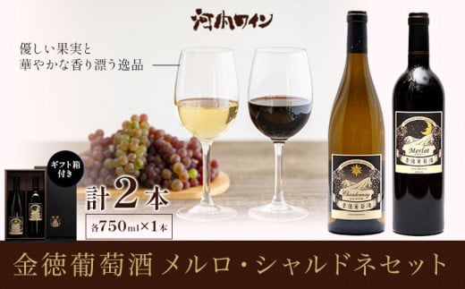 金徳葡萄酒 メルロ シャルドネセット×1 ギフト箱付き 各750ml×1本 計2本 株式会社河内ワイン《30日以内に出荷予定(土日祝除く)》大阪府 羽曳野市 ワイン 酒 アルコール 送料無料