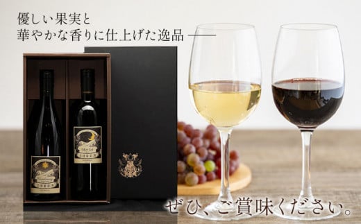 金徳葡萄酒 メルロ シャルドネセット×1 ギフト箱付き 各750ml×1本 計2本 株式会社河内ワイン《30日以内に出荷予定(土日祝除く)》大阪府 羽曳野市 ワイン 酒 アルコール 送料無料