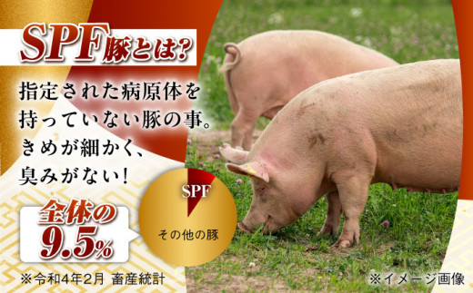 【月1回約1.5kg×6回定期便】大西海SPF豚 背ロースブロック 計9kg 長崎県/長崎県農協直販 [42ZZAA090] 肉 豚 ぶた ブタ ロース 塊 ブロック 西海市 長崎 九州 定期便