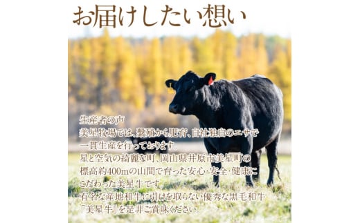 黒毛和牛 しゃぶしゃぶ すき焼き 用 約400g （約200g×2パック）A4等級 以上 牛脂付き 割りした サーロイン 美星牛 美星牧場 岡山