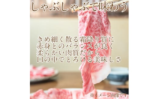 黒毛和牛 しゃぶしゃぶ すき焼き 用 約400g （約200g×2パック）A4等級 以上 牛脂付き 割りした サーロイン 美星牛 美星牧場 岡山