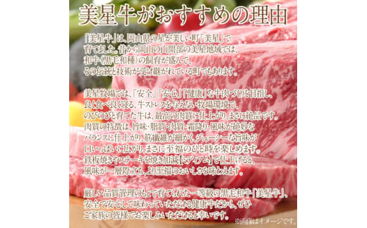 黒毛和牛 しゃぶしゃぶ すき焼き 用 約400g （約200g×2パック）A4等級 以上 牛脂付き 割りした サーロイン 美星牛 美星牧場 岡山