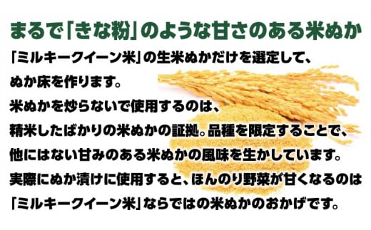 【 数量限定 】 半年以上漬け込んだ 「 ぬか床 たくあん 」 ぬか漬け 大根 ぬか漬け 米 ぬか ぬかどこ おつまみ [BJ008ci]