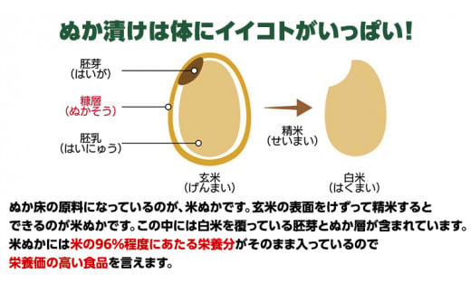 【 数量限定 】 半年以上漬け込んだ 「 ぬか床 たくあん 」 ぬか漬け 大根 ぬか漬け 米 ぬか ぬかどこ おつまみ [BJ008ci]