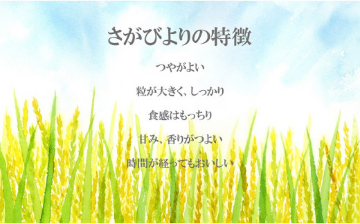 FE036_【6回定期便】令和5年産さがびより10kg(5kg×2セット)