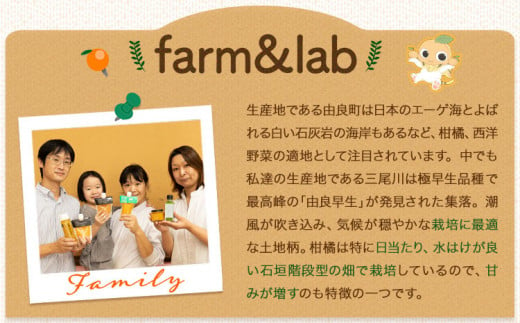 冷凍みかん 10袋 Farm＆lab 《30日以内に発送予定(土日祝除く)》和歌山県 日高町 みかん 柑橘 果物 冷凍 デザート