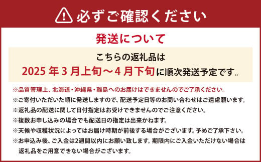 春のあまおう 2L・2A・G規格以上 約250-270g×4パック