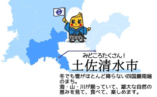 令和6年産新米 コシヒカリ玄米【先行予約/令和6年8月発送予定】定期便 10kg×5回 50kg 50キロ お米 新米 玄米 健康食品 おこめ 米 こめ ごはん こしひかり ブランド米【J00084】