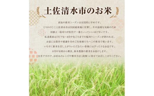 令和6年産新米 コシヒカリ玄米【先行予約/令和6年8月発送予定】定期便 10kg×5回 50kg 50キロ お米 新米 玄米 健康食品 おこめ 米 こめ ごはん こしひかり ブランド米【J00084】