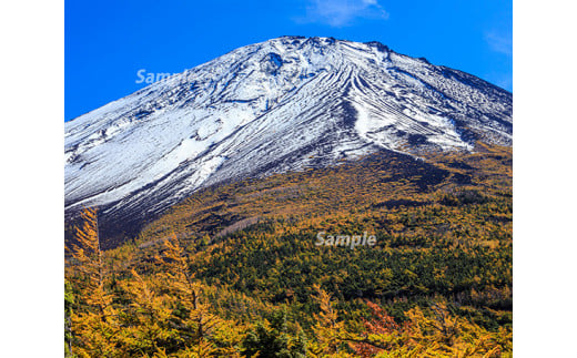 富士山フォトパネル（秋の空） NSF007