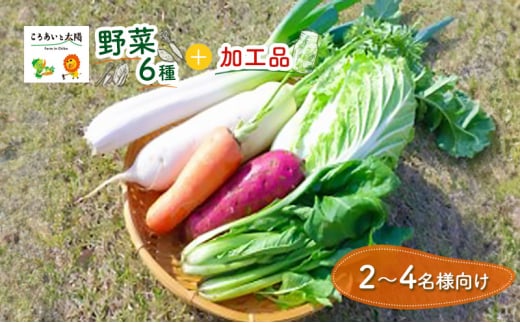 2～4名様向け／野菜6種に加工品をプラス[№5346-0568]