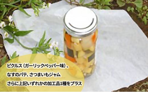 2～4名様向け／野菜6種に加工品をプラス[№5346-0568]