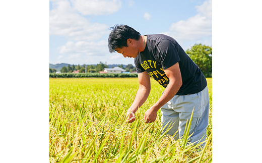 ＜毎月定期便＞山形県産米「はえぬき」玄米 5kg(5kg×1袋)全6回【4003477】