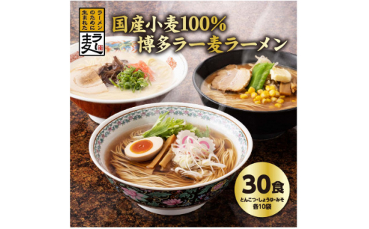 国内産小麦ラー麦ラーメン「味三撰」30食/とんこつラーメン、しょうゆラーメン、みそラーメン×各10食【1319279】