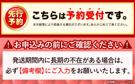 いちご あまおう 先行予約 いちご 大量 540g 選べる発送時期 定期便 フルーツ《3ヶ月定期便(1月2月3月に1回ずつ)》苺 旬 くだもの 果物 福岡県 鞍手町