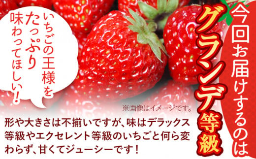 いちご あまおう 先行予約 いちご 大量 540g 選べる発送時期 定期便 フルーツ《3ヶ月定期便(1月2月3月に1回ずつ)》苺 旬 くだもの 果物 福岡県 鞍手町