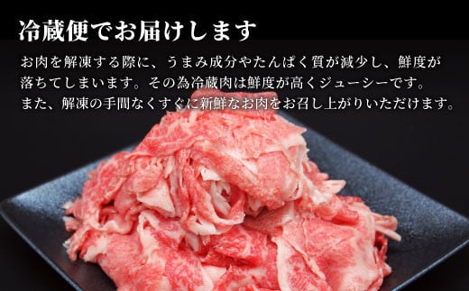 【2025年3月発送】飛騨牛 4等級以上 切り落とし 560g 牛肉 和牛 肉 切落し ブランド牛 4等級 5等級 国産 10000円