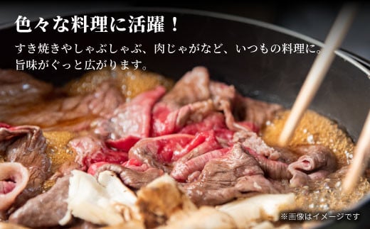 【2025年3月発送】飛騨牛 4等級以上 切り落とし 560g 牛肉 和牛 肉 切落し ブランド牛 4等級 5等級 国産 10000円