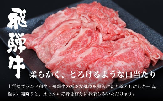 【2025年3月発送】飛騨牛 4等級以上 切り落とし 560g 牛肉 和牛 肉 切落し ブランド牛 4等級 5等級 国産 10000円