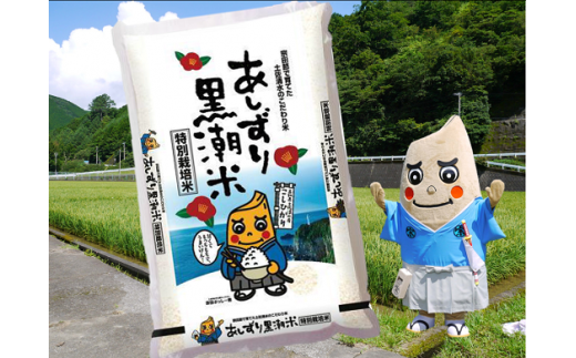 令和6年産 新米 あしずり黒潮米10kg（5kg×2袋）【コシヒカリ】精米 新米 白米 こめ コメ おコメ こしひかり ブランド米 10キロ  国産 送料無料 高知県 にがり【R01306】