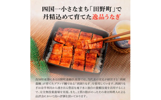 田野町産うなぎの蒲焼き(大) 4尾×3回 定期便 3ヶ月 定期コース 1尾あたり120～150g タレ付き 山椒付き うなぎ 鰻 ウナギ 蒲焼き かば焼き 無頭 おいしい 国産 お取り寄せ 冷凍 配送