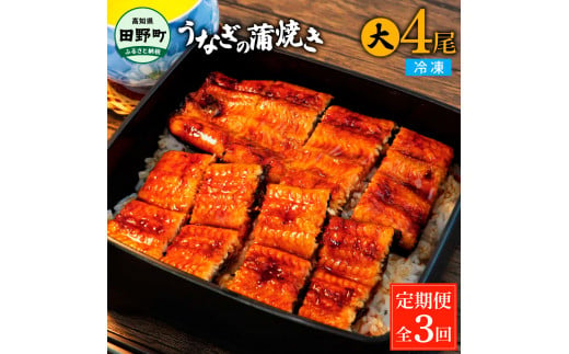 田野町産うなぎの蒲焼き(大) 4尾×3回 定期便 3ヶ月 定期コース 1尾あたり120～150g タレ付き 山椒付き うなぎ 鰻 ウナギ 蒲焼き かば焼き 無頭 おいしい 国産 お取り寄せ 冷凍 配送