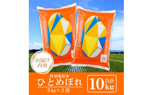 ＜令和6年産 新米＞宮城県産 郷の有機 ひとめぼれ 合計10kg (5kg×2袋) お米 おこめ 米 コメ 白米 ご飯 ごはん おにぎり お弁当 有機質肥料【株式会社パールライス宮城】ta205