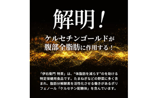 定期便 2ヶ月 伊右衛門 特茶TOKUCHA ジャスミン（特定保健用食品）500mlペット×24本