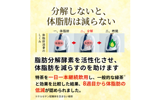 定期便 2ヶ月 伊右衛門 特茶TOKUCHA ジャスミン（特定保健用食品）500mlペット×24本