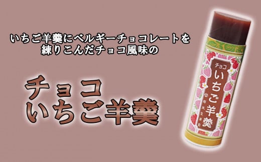 元祖 三石羊羹 いちご羊羹 お試し 計 3種 ( 丸筒 3種 5本 ) セット 和菓子 羊羹 ようかん 和 スイーツ