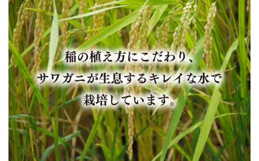 【令和6年産米使用】食卓定番セット（米＋みそセット） ⑥(BI110)