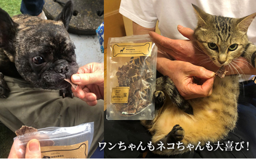 （３回定期便）千葉県で獲れた猪ペット用ジャーキー(2個セット）１００g [№5346-0350]